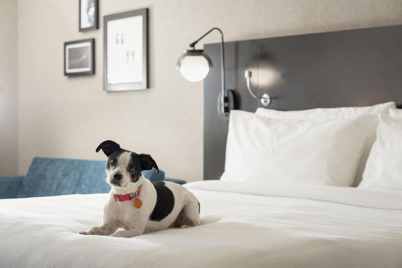 Four Points By Sheraton Milwaukee North Shore Brown Deer Zewnętrze zdjęcie